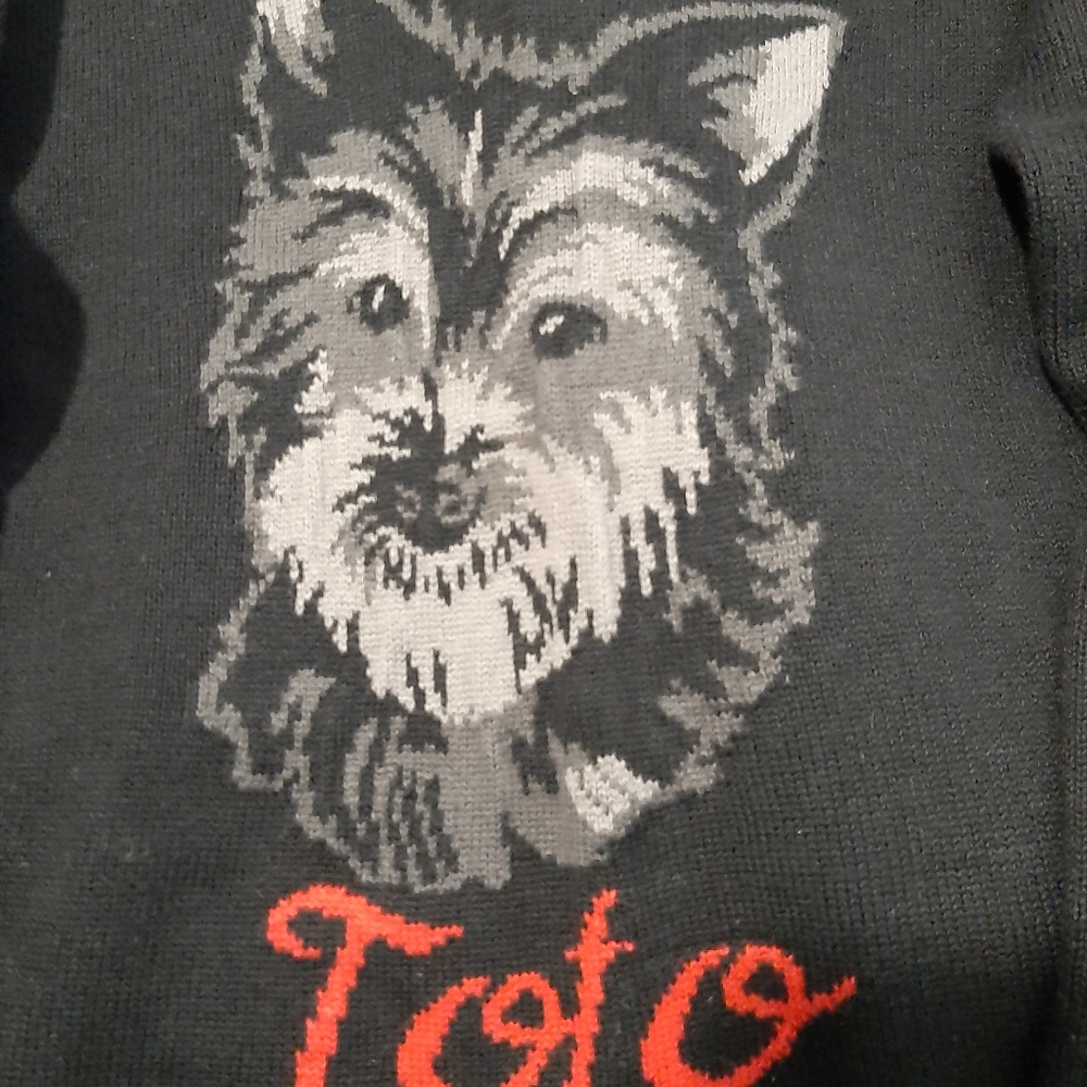 Dangerfield 'Wizard of Oz' Toto jumper size 12 - Picture 3 of 5